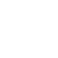 OWASP icon