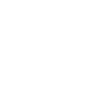 Python icon